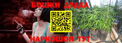 кокс Кингисепп