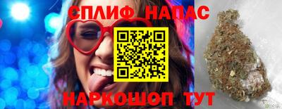 кокс Кингисепп