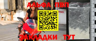 кокс Кингисепп