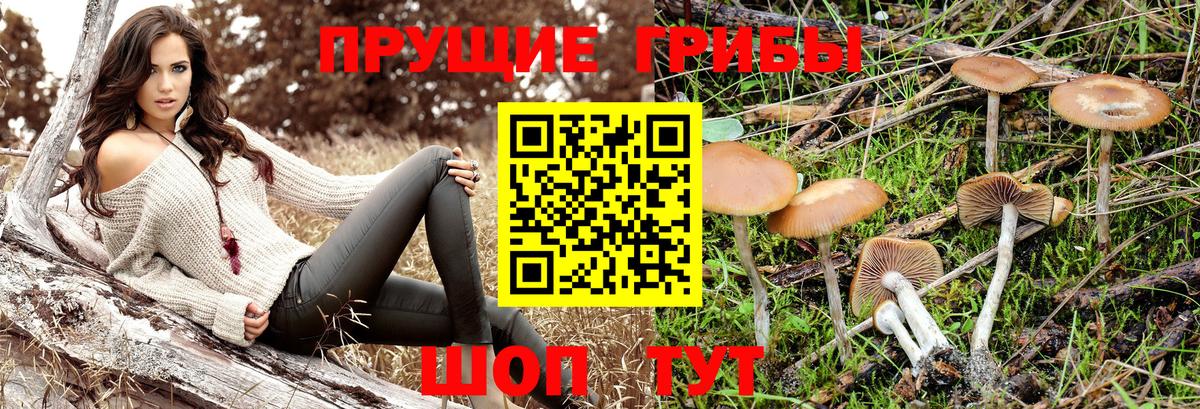 Галлюциногенные грибы прущие грибы  Вход с VPN  Псилоцибиновые грибы мухоморы  Кувандык 